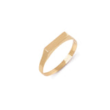 Anel Petit Plaquinha ouro 18k